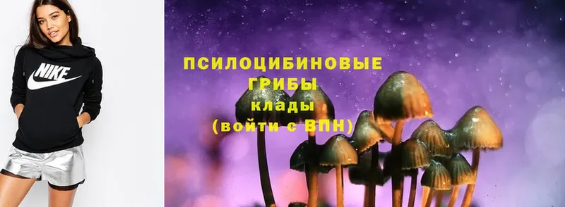 Галлюциногенные грибы Magic Shrooms  Улан-Удэ 